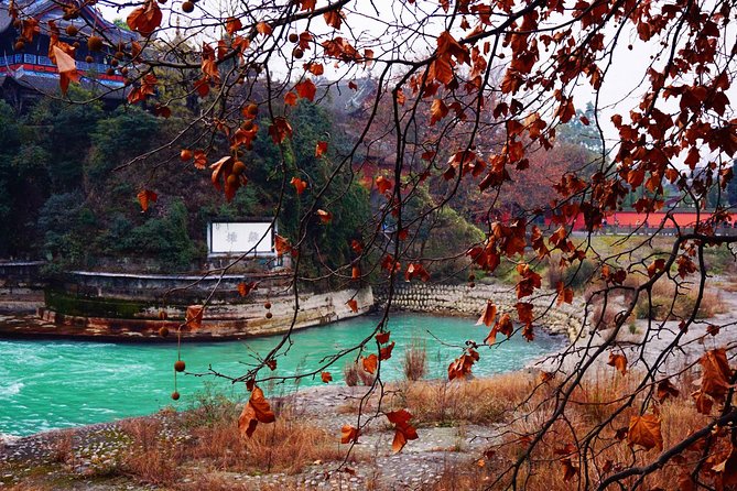 Chengdu Day Tour of Dujiangyan Irrigation System and Mount Qingcheng - Traveler Reviews & Ratings