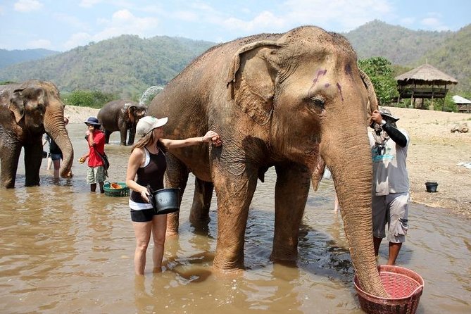 Chiang Mai: 3-Day Jungle Trek With Karen Hill Tribe Stay - Common questions