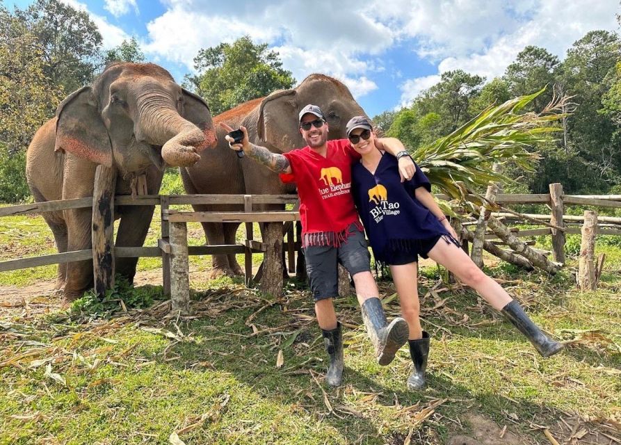 Chiang Mai :Doi Inthanon Explore &Ethical Elephant Sanctuary - Customer Reviews and Testimonials