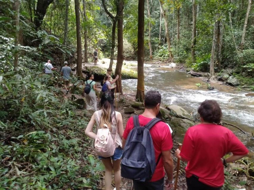 Chiang Mai: Doi Inthanon National Park Tour & Waterfall Trek - Customer Reviews