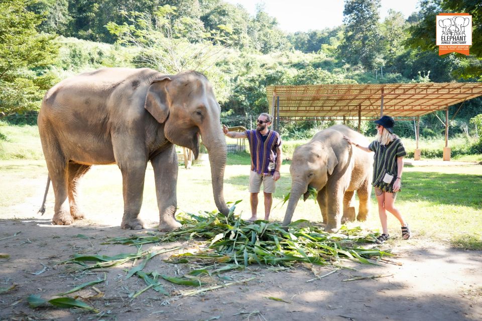 Chiang Mai: Elephant Jungle Sanctuary With Lunch & Transfer - Logistics and Inclusions