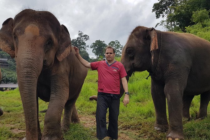 Chiang Mai Elephant Sanctuary and Temples Tour - Common questions