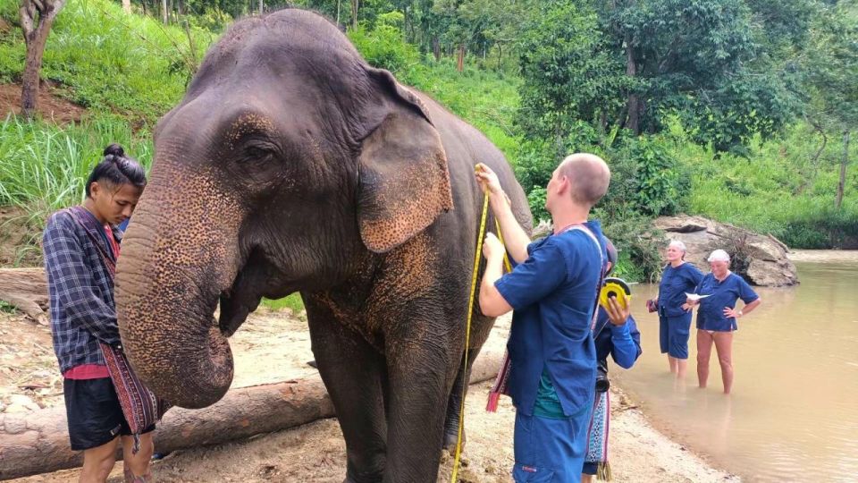Chiang Mai: Elephant Sanctuary With Lunch Day Tours - Location Details
