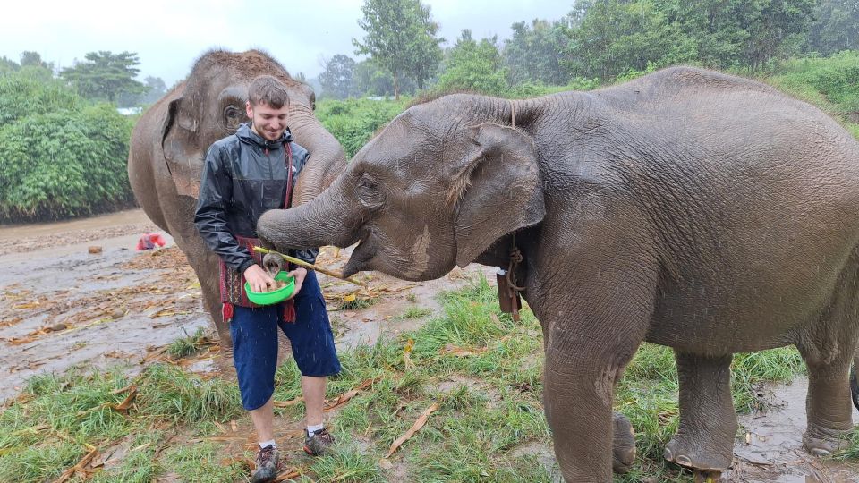 Chiang Mai: Ethical Elephant Sanctuary Day Tour & Lunch - Experience Highlights