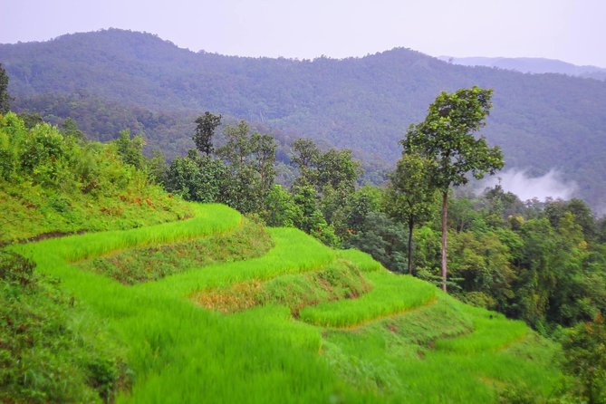 Chiang Mai Hill Tribe and Jungle Hike Private Tour - Pricing Information