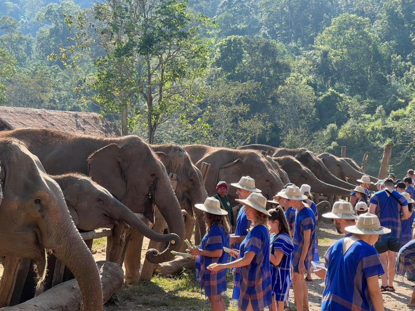 Chiang Mai: New Elephant Home Walking With Giants Tour - Directions