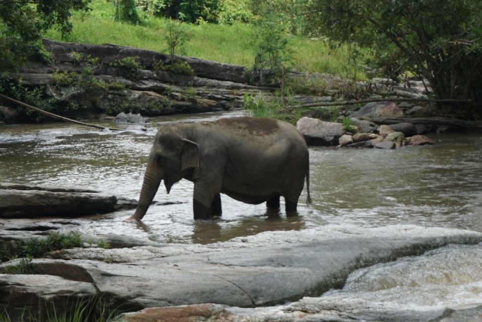 Chiang Mai: One Day Trek to Beautiful Local Village - Common questions