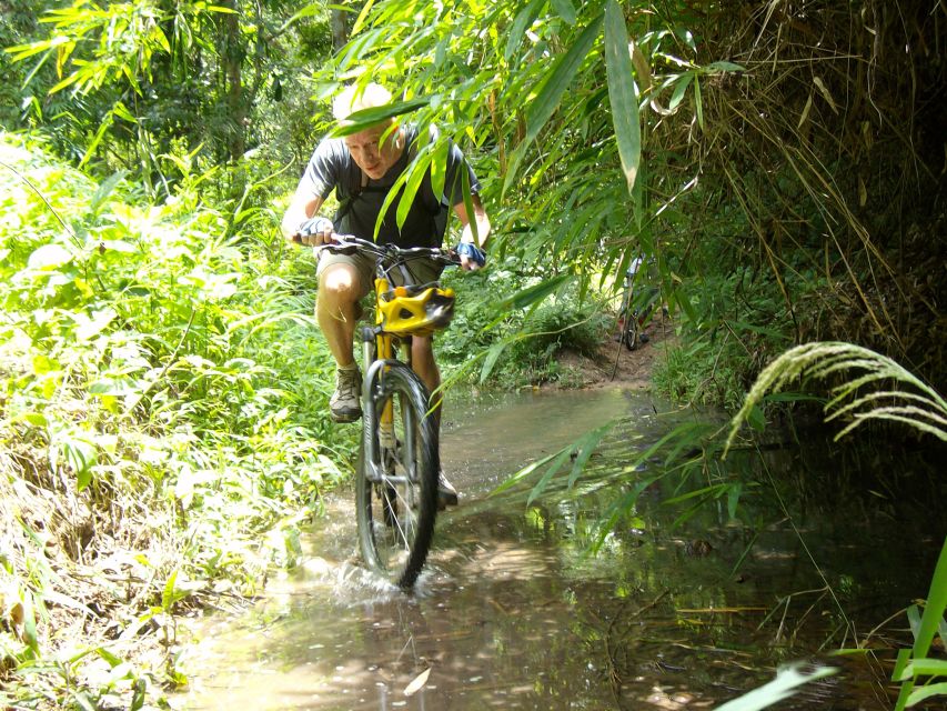 Chiang Mai: Rainforest Guided Mountain Biking Tour - Overall Highlights