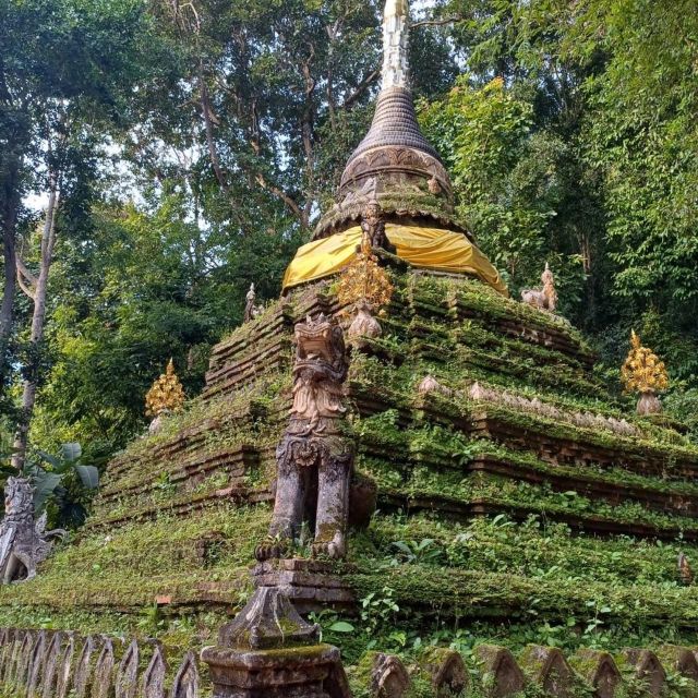 Chiang Mai Sunset Point, Wat Pha Lat, Wat Doi Suthep, Wat Umong - Customer Reviews