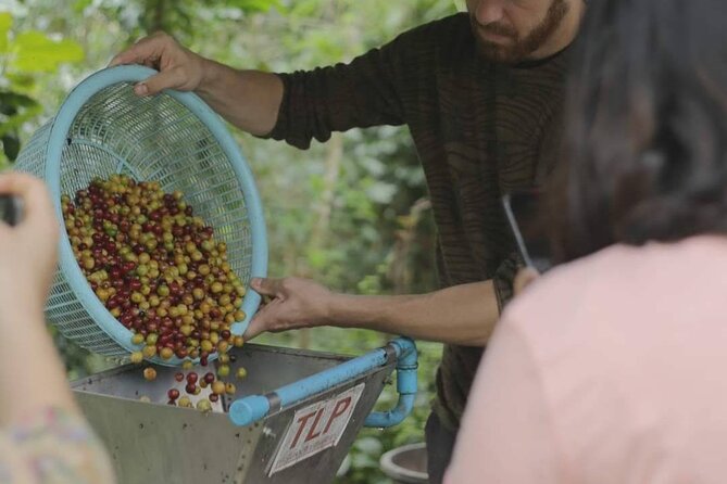 Chiangmai Coffee Farm Tour - Common questions