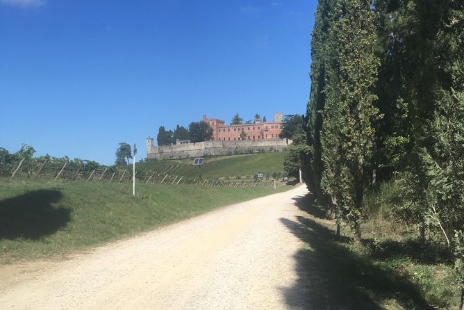 Chianti Classico E-Bike Tour - Common questions