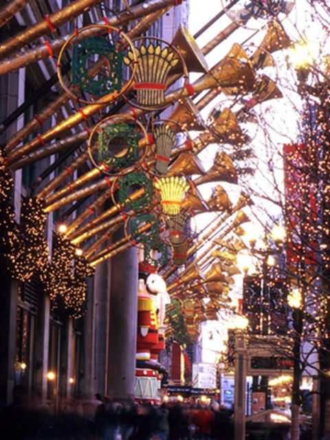 Chicago: Guided Holiday Walking Tour and Food Sampling - Additional Offerings