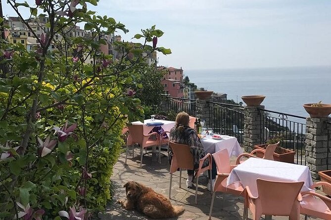 Cinque Terre Small Group Tour With Lunch From Florence - Common questions
