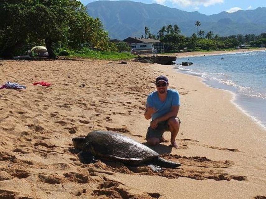 Circle Island: Swim With Turtles And Explore Paradise Oahu - Island Flavors at Tropical Farms