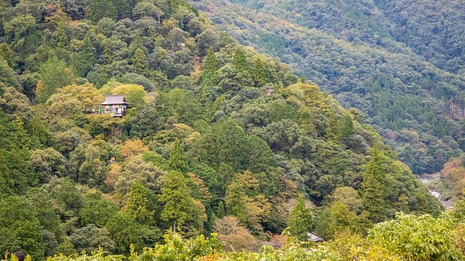 City Escape: Arashiyama Park Private Day Trip - Dining Recommendations