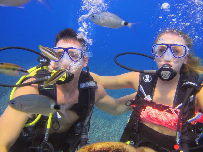 City of Side: Underwater Museum Scuba Diving Visit - Customer Feedback