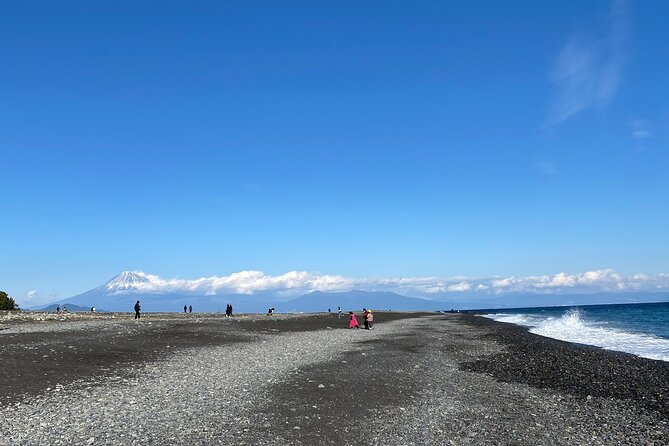 Classic Shizuoka With Mt.Fuji Viewing 1 Day Private Tour - Contact and Support