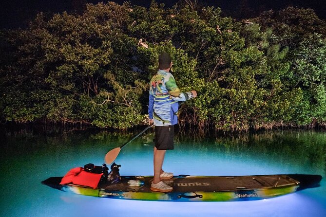 Clear Kayak LED Night Glass Bottom Tour - Sarasota - Cancellation Policy