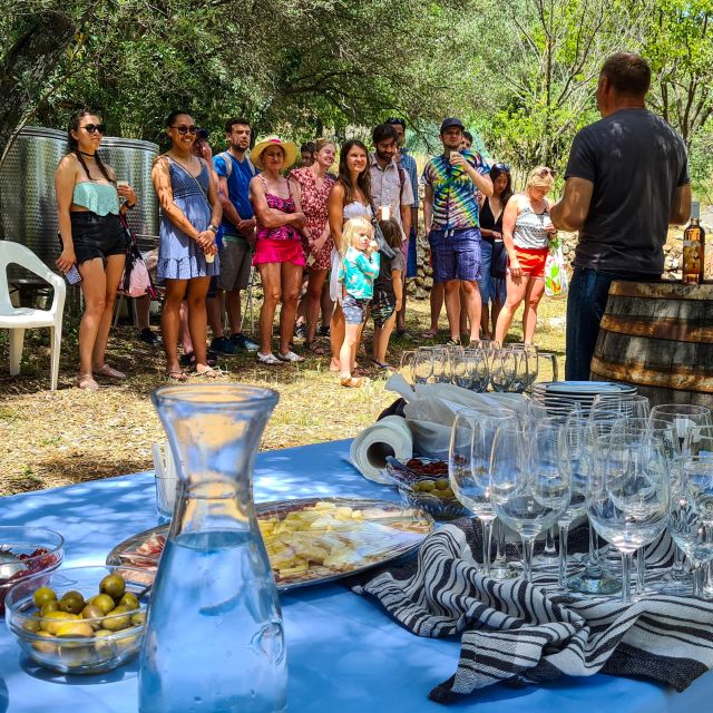 Coastal Vineyards: A Dream Wine Tour to Elaphiti Islands - Tour Details