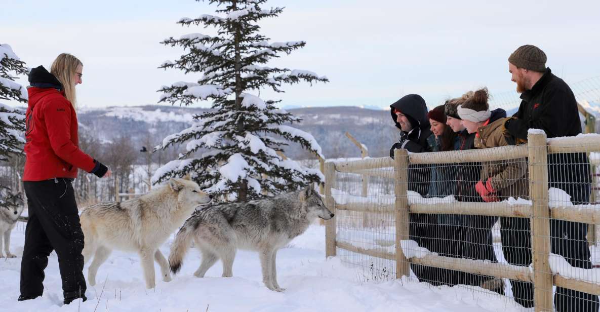 Cochrane: Yamnuska Wolfdog Sanctuary Tour - Common questions