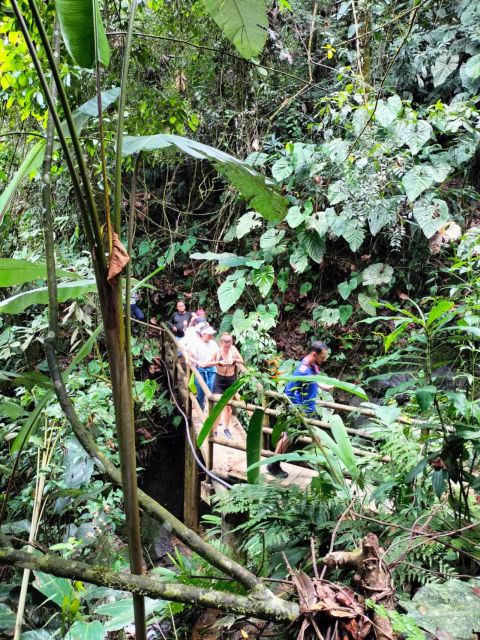 Cocoa Tour - San Rafael Antioquia From Medellín - Things to Bring on the Tour