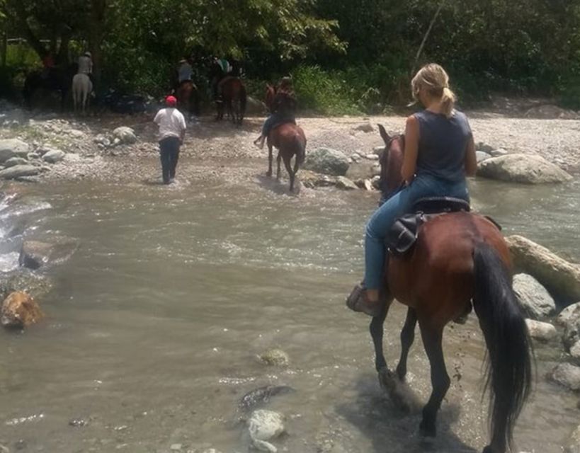 Cocora Valley and Salento Tour With Horseback Ride - Booking and Cancellation Policy