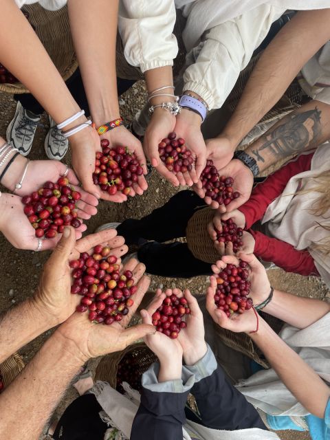 Coffee Tour in Garden Antioquia - From Medellín - Additional Information and Gift Option