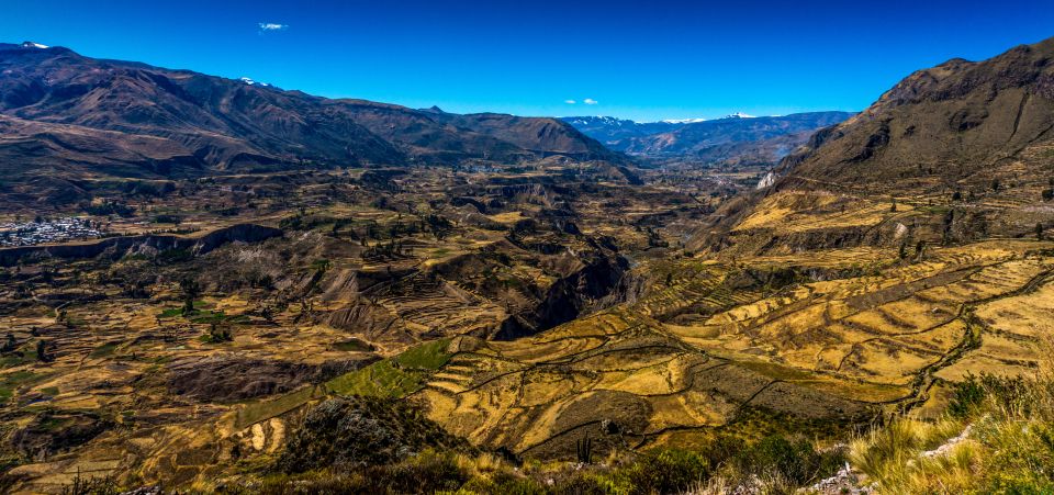 Colca Canyon: 2-Day Tour From Arequipa to Puno - Common questions