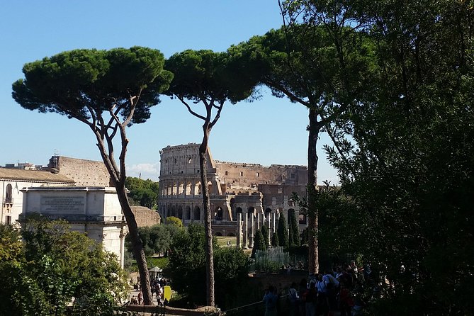 Colosseum and Roman Forum Private Tour Led by an Archaeologist - Important Notes