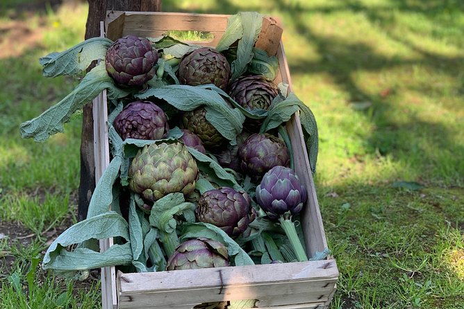 Cook and Eat in the Citrus Grove in Sorrento - Support Services