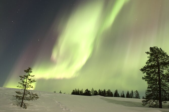 Cool Igloo Experience - Finnish Sauna and Meals