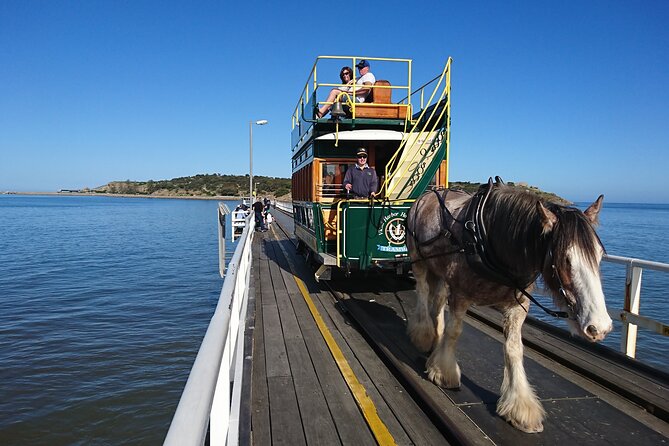 Coorong Discovery Cruise and Tour - Common questions