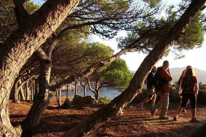 Costa Brava Small Group Hiking Tour From Barcelona - Common questions