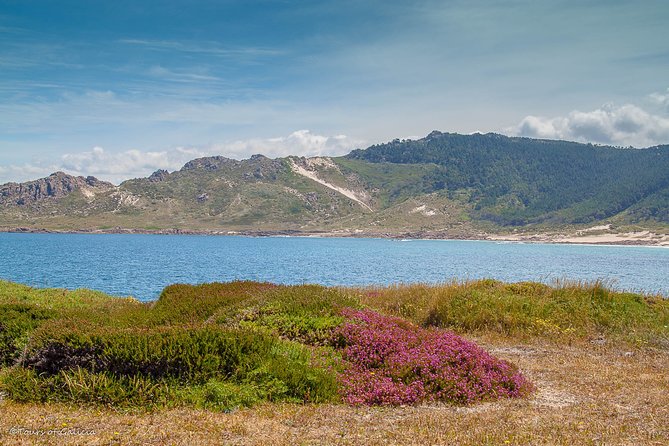 Costa Da Morte/Finisterre From La Coruña Private Tour/Shore Excursion - Safety and Guidelines