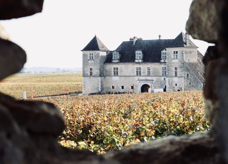Côte De Beaune and Côte De Nuits : Private Full Day Winetour - Gift Option and Special Occasions