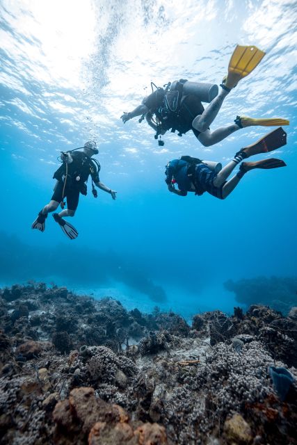 Cozumel: Discover Scuba Diving - Directions