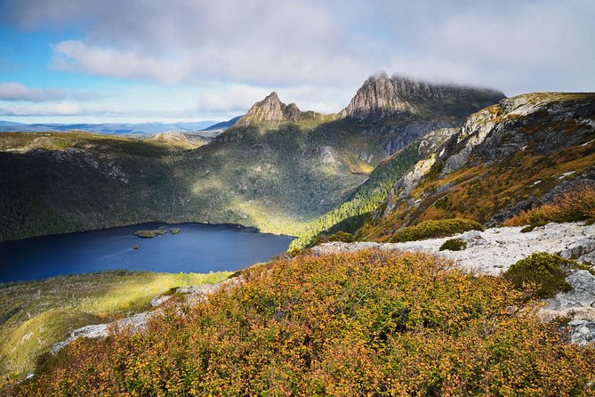 Cradle Mountain Day Tour Private Charter Service - Contact Details