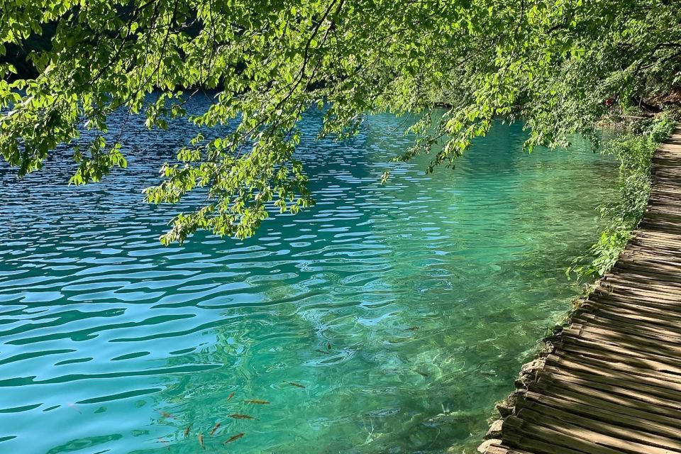 5 croatia plitvice lakes private tour with hotel pickup Croatia: Plitvice Lakes Private Tour With Hotel Pickup