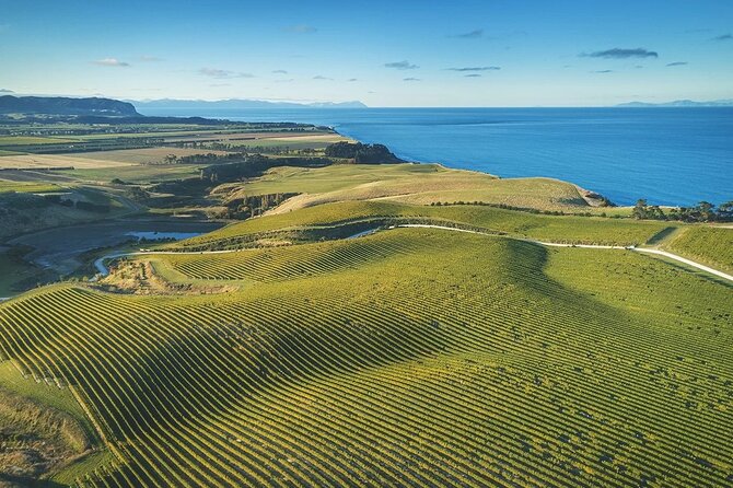 CRUISE SHIP DAY Hop on Hop off Yealands & Marlborough Tour - Departure Point