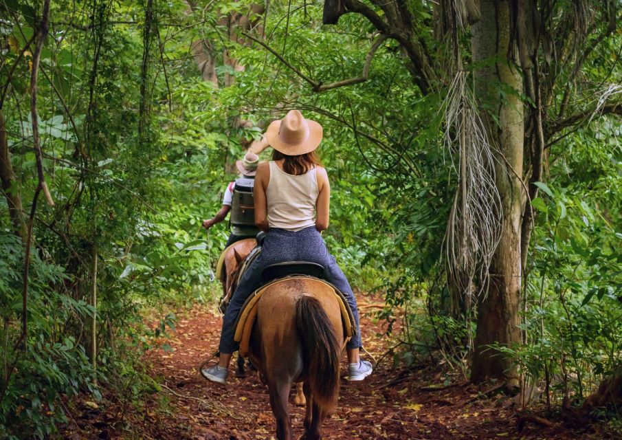 Cruseilles: Horseback Riding in the Countryside - Meeting Point and Guidelines