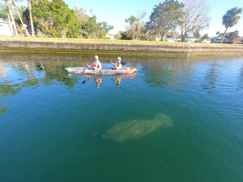 Crystal River: Clear Kayak Manatee Ecotour - Booking and Payment Options