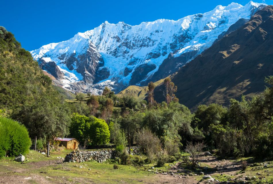 Cusco: 2-Day Humantay Lake and Machu Picchu Tour - Customer Reviews and Testimonials