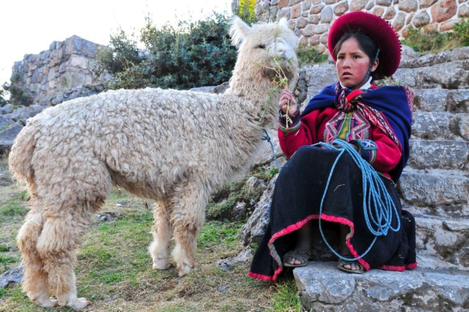Cusco: Alpaca Therapy Healing With Clay - Lunch - Private - Common questions