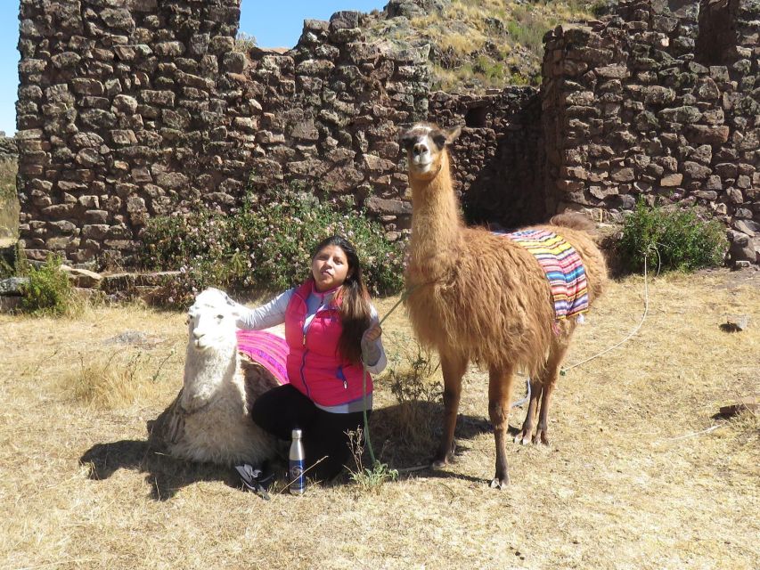 Cusco: Alpaca Therapy Healing With Clay Lunch - Private - Clay Therapy Experience