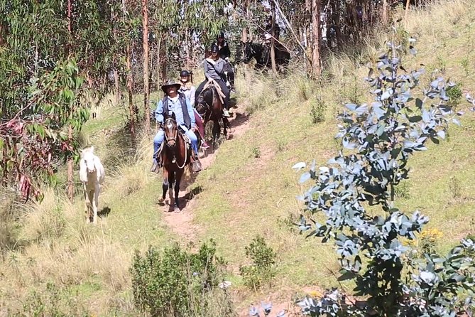 Cusco Day Tour Horse Riding Mystic Tour Full Service The Most Recommended - Customer Reviews