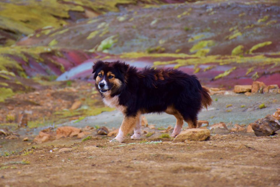 Cusco: Full-Day Rainbow Mountain Trek With Lunch - Activity Cancellation Policy