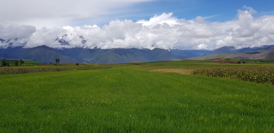 Cusco: Sacred Valley of the Incas Experience - Scenic Drive Through the Andes