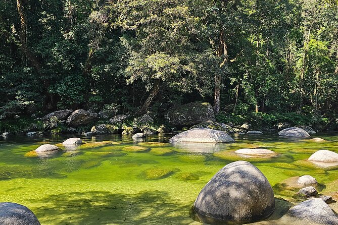 Daintree Rainforest, Mossman Gorge & Beach Day Tour W/Aboriginals - Important Reminders