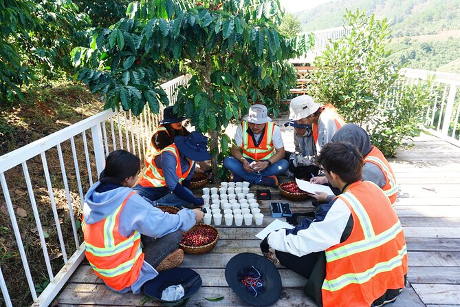 Dalat Coffee Plantation Tour With Free Gift  - Central Vietnam - Reviews and Booking Assistance