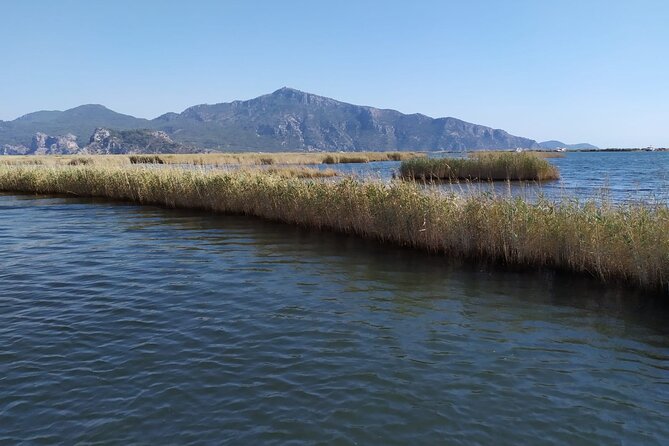 Dalyan Mud Bath and Turtle Beach From Sarigerme - Common questions